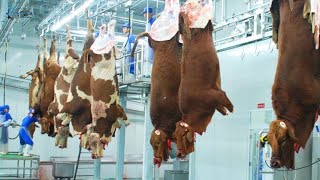 Download Lagu How Americans Raise and Slaughter Cattle — All Mechanized MP3