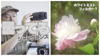曇ったレンズは要らないが、買っちゃったので撮ってみる【TAMRON AF 90-300mm F\/4.5-5.6（62D）】