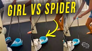 Girl Was Trying to Get a Spider Into Dustpan but It Climbed the Arm and Made Girls Scream