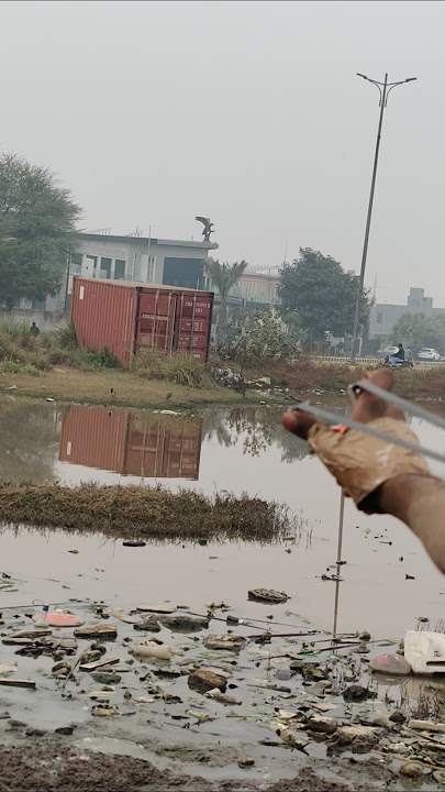 tateer slingshot with hunting bird #birds #slingshot #viral