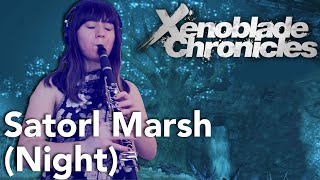 Satorl Marsh (Night): Xenoblade Chronicles [Woodwind Cover] | Sab Irene