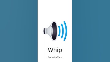 Thumbnail of Whip-cracksound effect