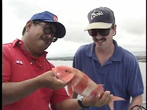 Video: Fishing Tales. Colleagues