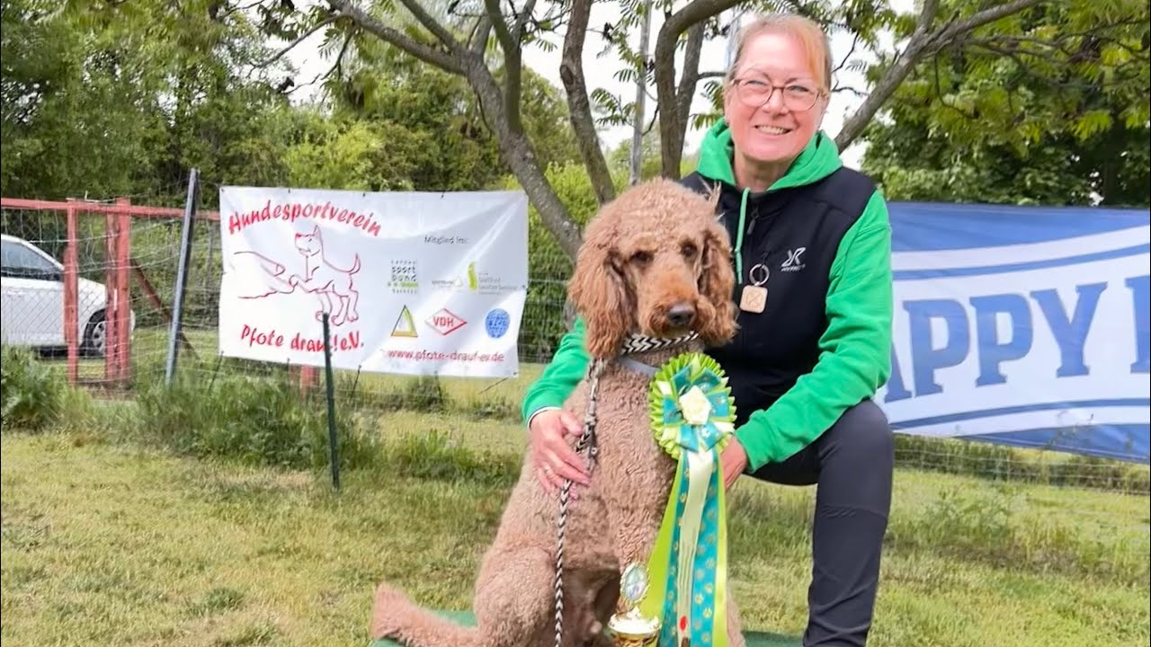 SGSV MEISTERSCHAFT 2025 RallyObedience Kl. 2