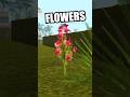 How To Get FLOWERS GTA San Andreas