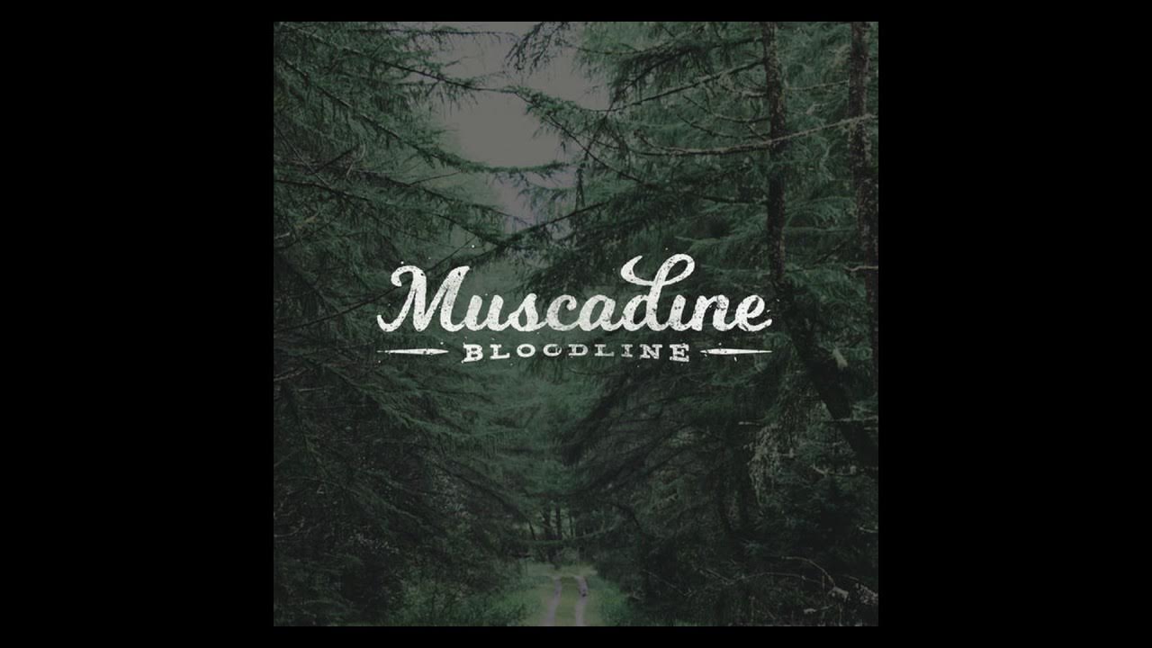 Walk In A Room Muscadine Bloodline Lyrics Depending On The Night (LYRICS) - Muscadine Bloodline - YouTube