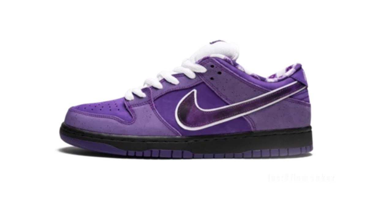 nike sb dunk low concepts