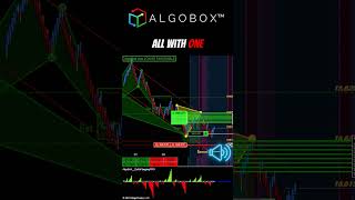 A Wonderful Trade: Shark Back ? AlgoBox for NinjaTrader Day Trading Futures