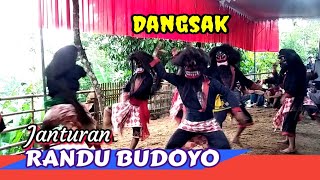NDEM NDEMAN DANGSAK RANDU BUDOYO // LIVE : PANONGAN DESA PENIRON