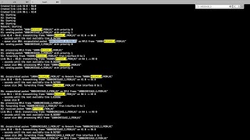 CSCI 466 - MPLS pt. 1