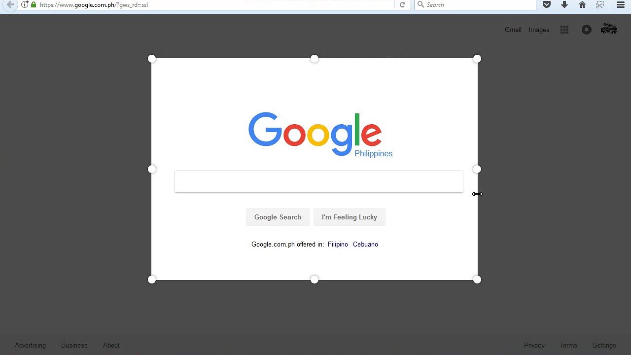 Firefox Screenshot Beta