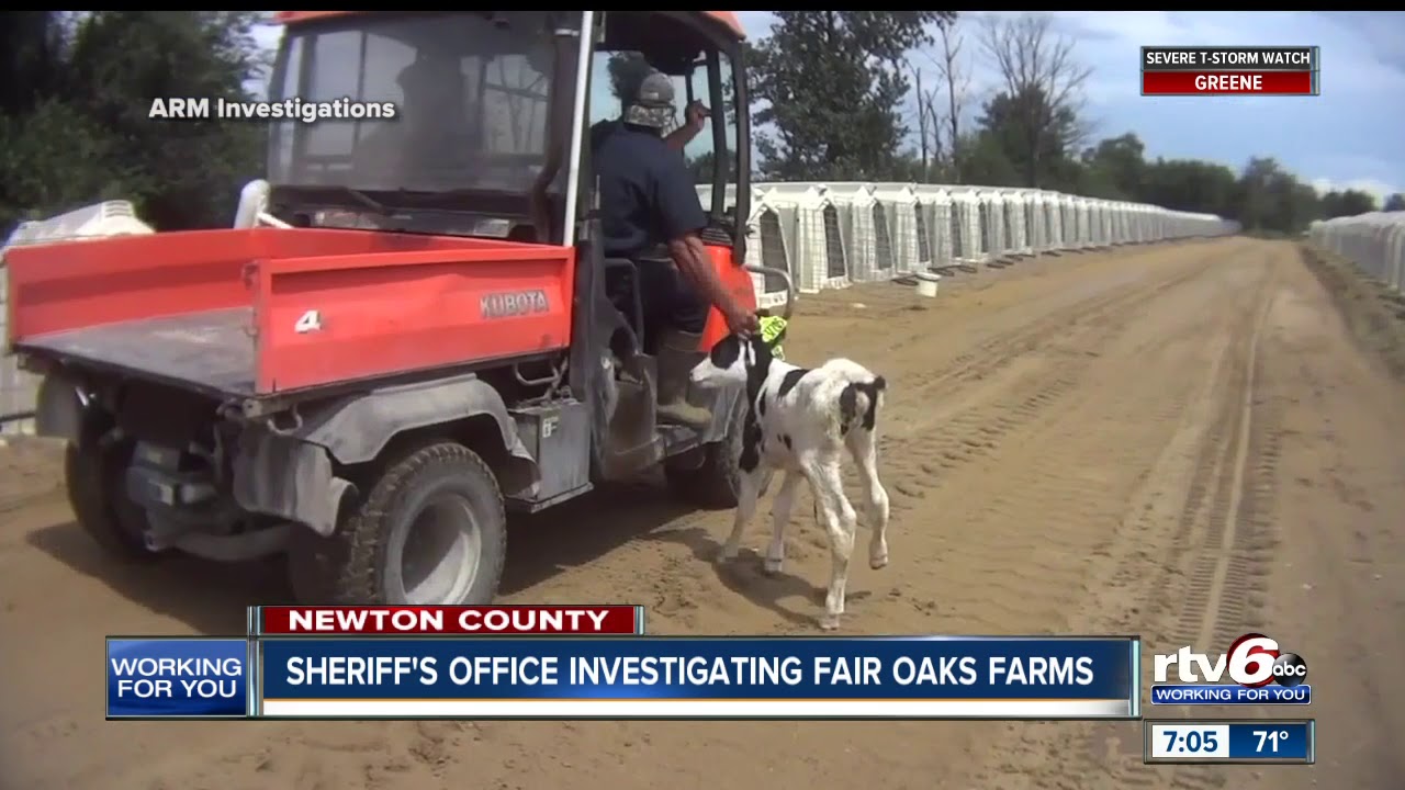 Sheriff's office investigating Fair Oaks Farms YouTube