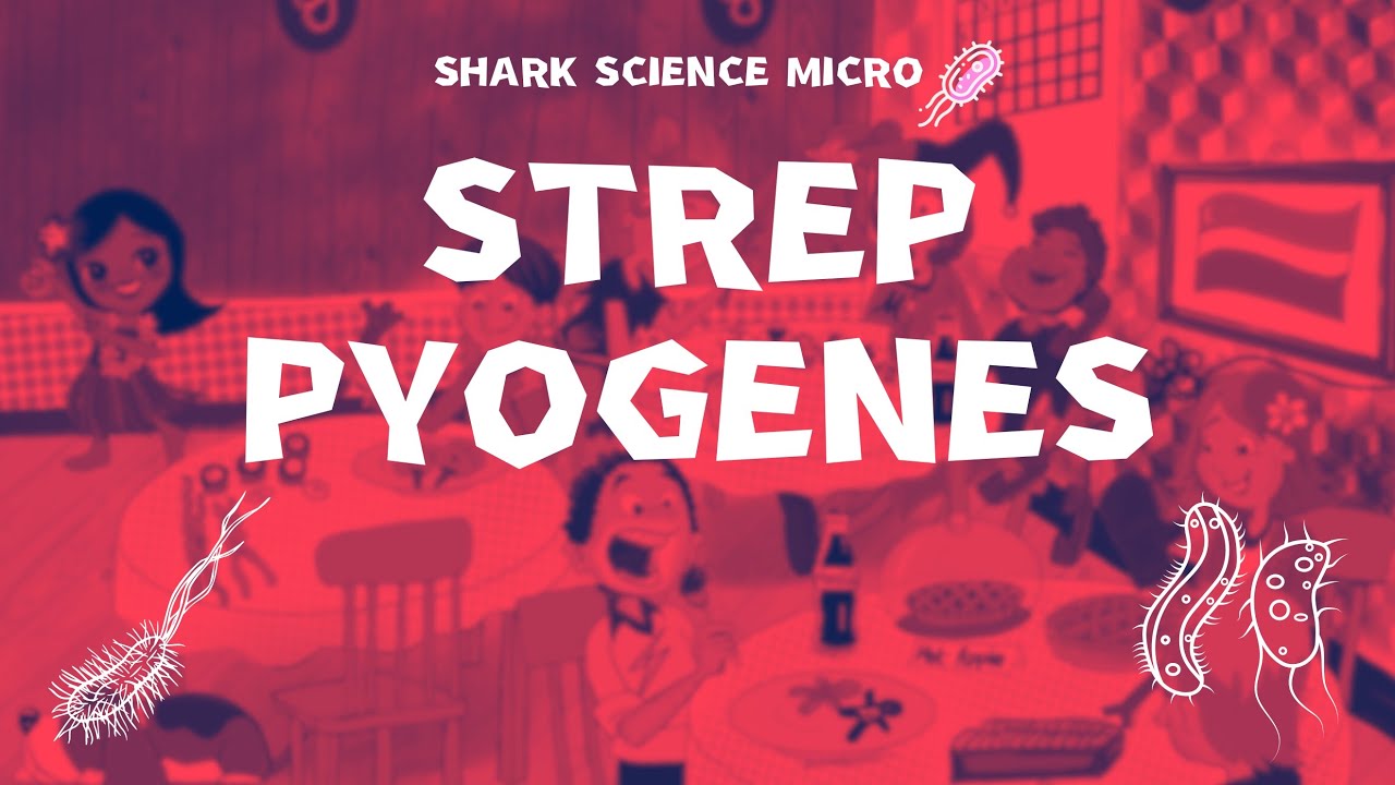 sᴛʀᴇᴘ ᴘʏᴏɢᴇɴᴇs | ʙᴀᴋᴛᴇʀɪᴏʟᴏɢɪʏᴀ