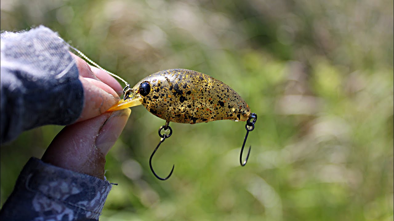 КРАЩІ за 2025 рік - Топ на ГОЛОВНЯ - минулого Сезону, мій досвід та бачення, думки