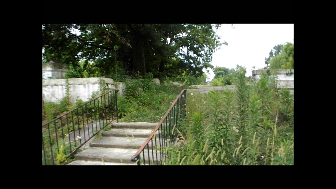 Sweet Olive in Baton Rouge, La YouTube