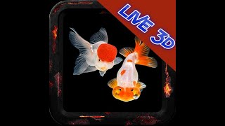 Goldfish Video Live Wallpaper 3D screenshot 2