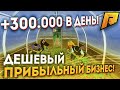 ОГОРОД! САМЫЙ ПРИБЫЛЬНЫЙ И ДЕШЕВЫЙ БИЗНЕС! (CRMP | RADMIR)