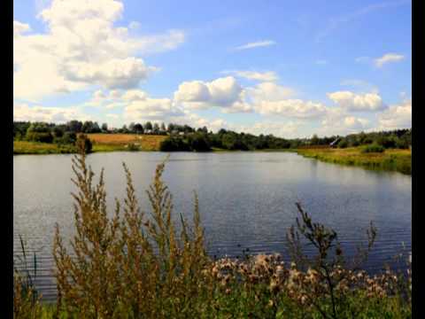 Александр Иванов Полевые цветы 