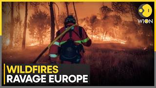 Europe Wildfires German Village Shrouded In Belgian Fire Smoke WION News