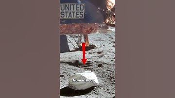 Astronauts left some weird stuff on The Moon!