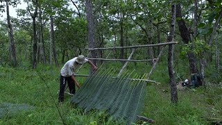 Traveling deep into the jungle to set up camp thereការធ្វើដំណើរចូលទៅក្នុងព្រៃដើម្បីធ្វើជំរំនៅទីនោះ🏕🫎