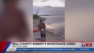 Thrown Cat Investigation