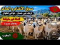 Arbaoua Bani Hassan Sheep And Goat Market In This Village Near Tetouan With Unexpected Prices 