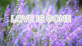 SLANDER-Love Is Gone🎹(Lyrics)Ft.Dylan Matthew