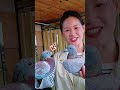 鴿子關賽回來後，不愛飛，自由活動吧 #鴿舍 #賽鴿 #pigeon