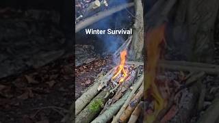 Survival Skills in Winter#bushcraft #survival