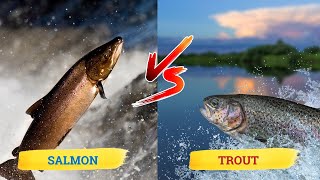 Salmon vs Trout: Discover the Surprising Differences!