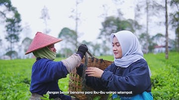 Desa Wisata Tlogomulyo Wonosobo