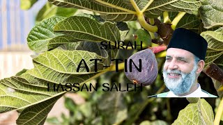Surah At Tin Recitation by Hassan Saleh