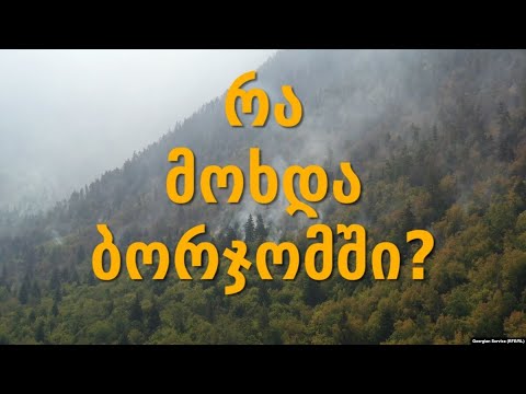 რა მოხდა ბორჯომში?