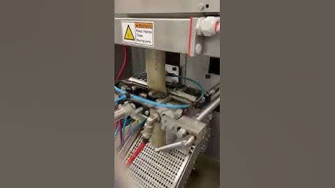 Vertical Form Fill Seal Machine (VFFS) Packaging Pet Food