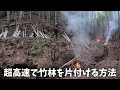 効率最優先の竹林整備です