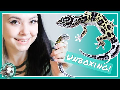 Unboxing My New