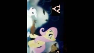Rainbow Dash Scares Fluttershy