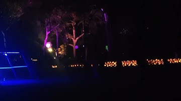 NYX Winter Solstice festival 2024 #subscribe  Bush doof