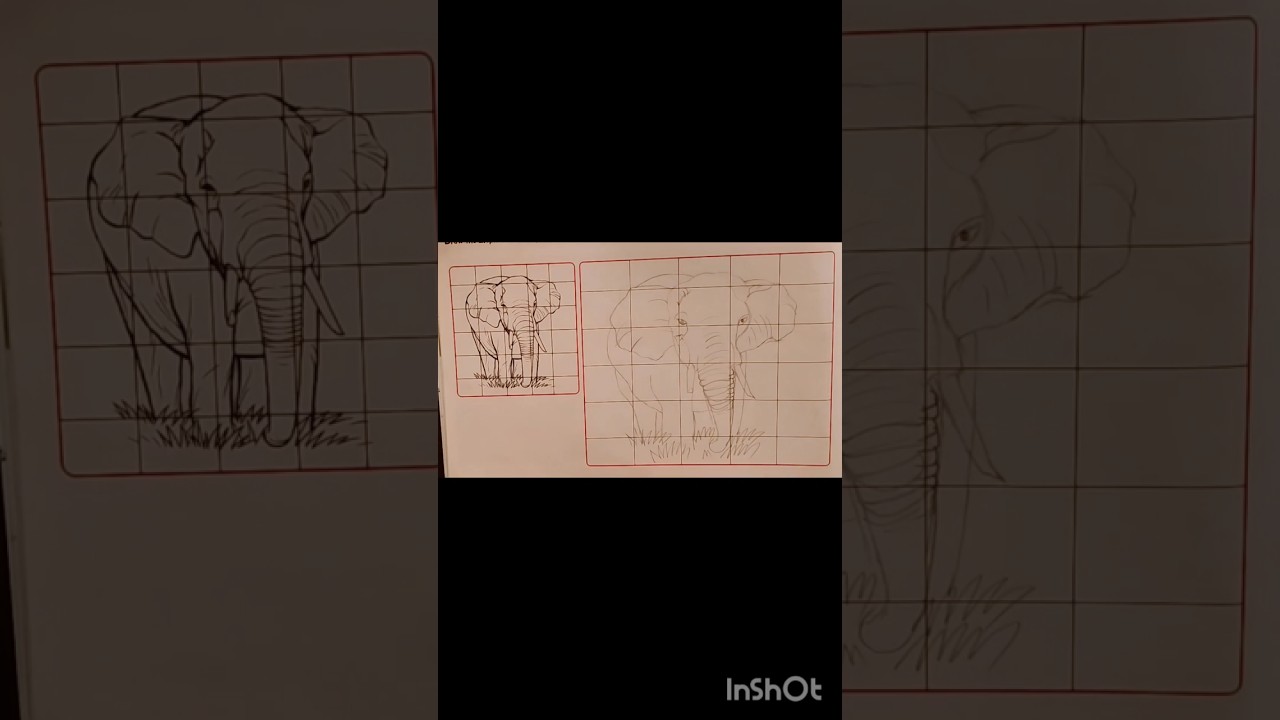 Elephant drawing with easy step by step, elephant drawing using with grid