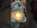Video Image