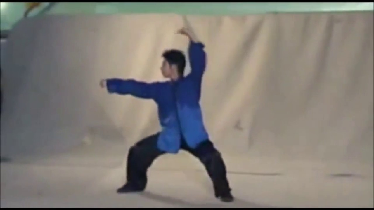 12 Set Tan Tui  十二路弹腿 from Chin Woo