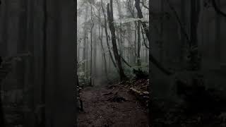 SUARA ANEH DI GUNUNG