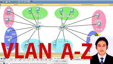 VLAN Configuration || Bangla