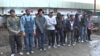 дтп мигранты казахстан 2015