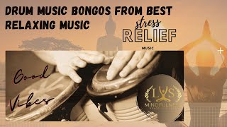 Drum Music Bongos from Best Relaxing Music instrumental, Dance, Studying, Working Out, ★04 screenshot 3