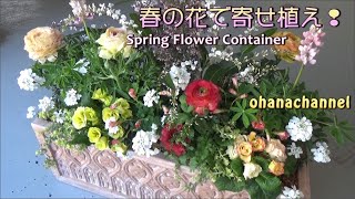 春の花で寄せ植え