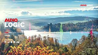 Audio Logic Runaways Silent Partner No Copyright Sound