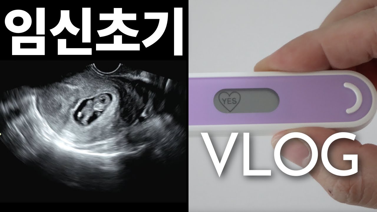 임신초기 vlog) 피검 수치가 596이라고?? | 시험관1차 성공 | 임밍아웃 | 임산부 일상 | 일상유희 | 초음파 다이어리