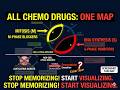 Chemotherapy and the Cell Cycle | Visual Memory Map for Exams